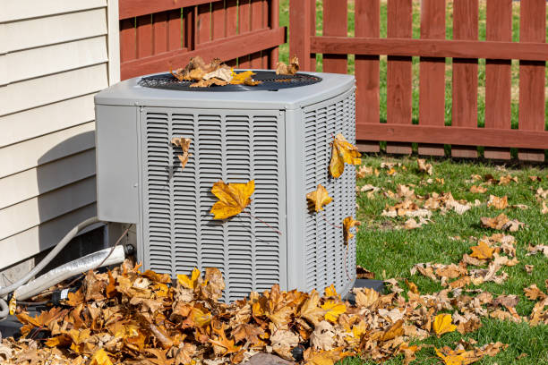 Best HVAC air duct cleaning  in Adel, GA